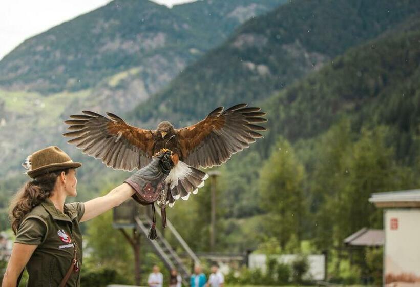 Номер Стандарт, Venter Bergwelt