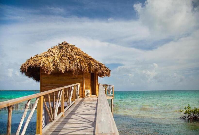 프리미엄 방갈로, Thatch Caye Resort A Muy'ono Resort