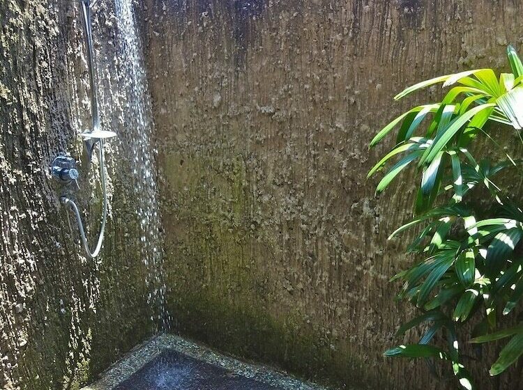 اتاق سوپریور, Aahh Bali Bed And Breakfast