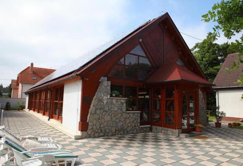 Номер Стандарт, ágnes