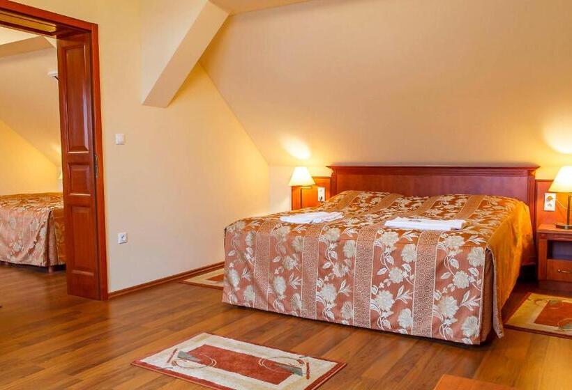 Люкс Семейный 2 Спальни, Pannon Hotel Bejelentkezés 20 óráig, Check In Until 20 O Clock, Einchecken Bis 20 Uhr