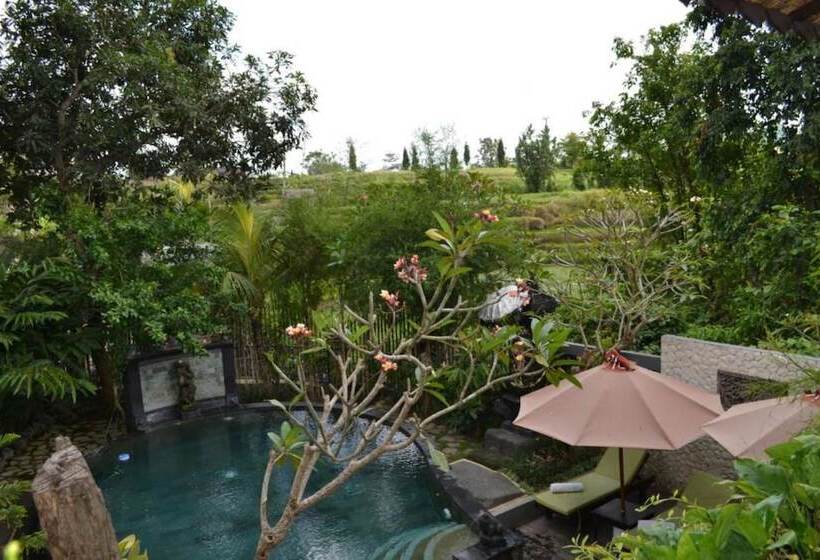 Номер Стандарт, Kts Balinese Villas