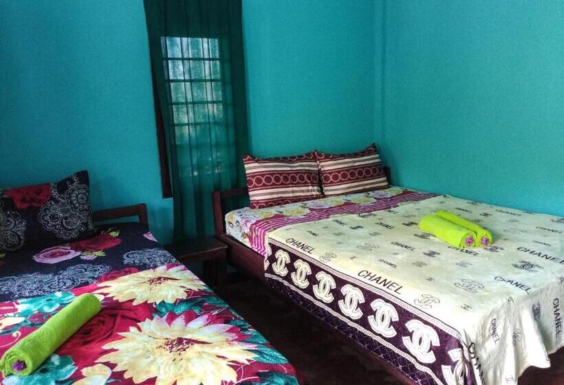 اتاق لوکس, Breeze Hostel