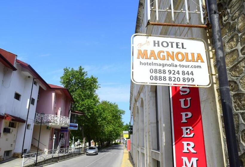 이코노미 룸, Family Hotel Magnolia