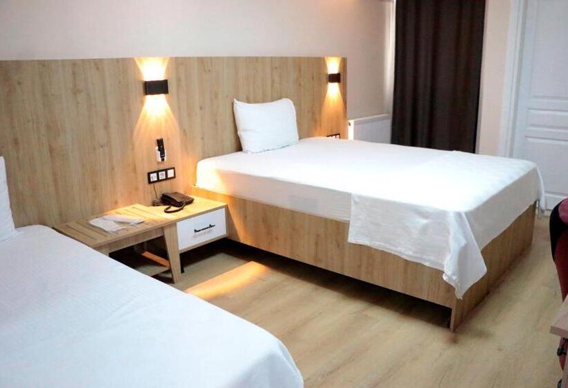 اتاق استاندارد یک نفره, Vizyon Otel Darıca
