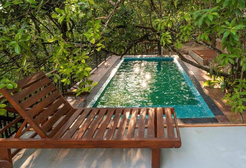 标准间, Trance Rabara Resort