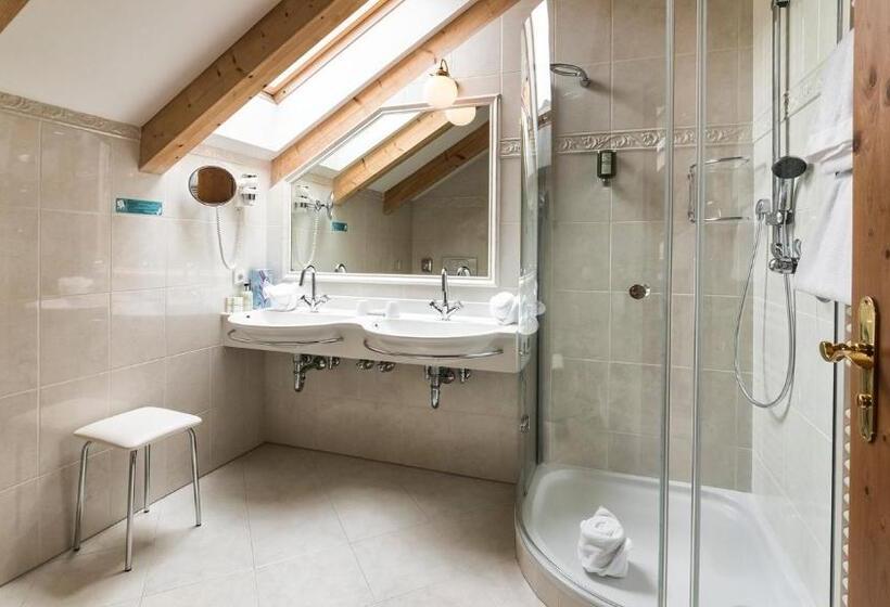Standard Room, Alpin & Vital Hotel La Perla