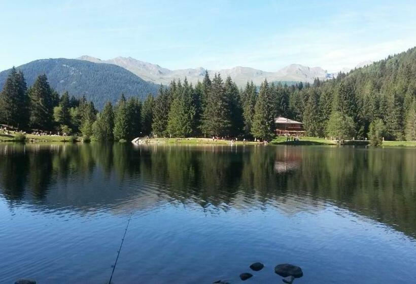 Номер Стандарт, Cova