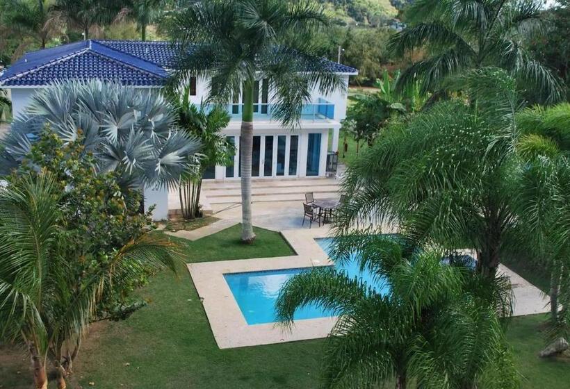 اتاق لوکس, Manati World Point Inn