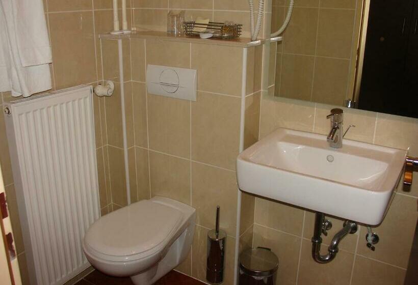 اتاق استاندارد, B&b Janežič