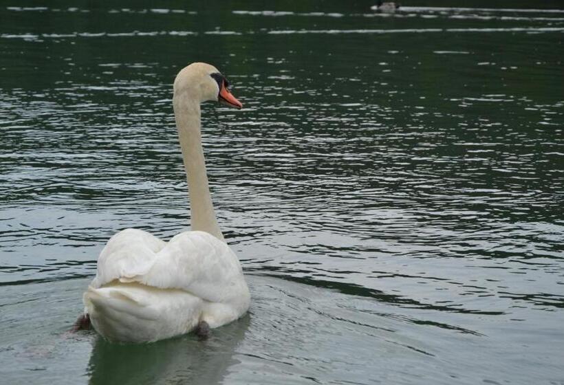 اتاق استاندارد با چشم‌انداز دریاچه, Gostisce Jezero