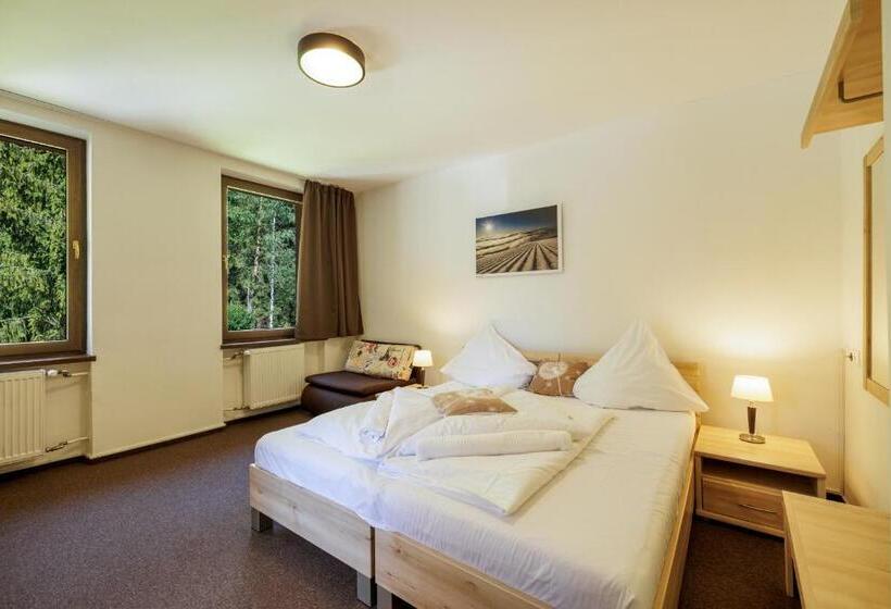 Номер Стандарт Трехместный, Lopušná Dolina Resort