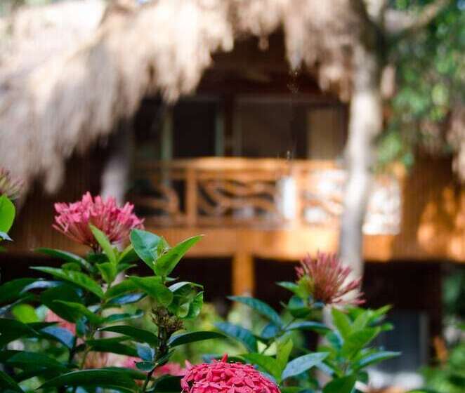 ویلای 2 خوابه, Mike's Dauin Dive Resort