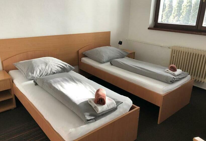 غرفة قياسية, šport Hotel Bôrik