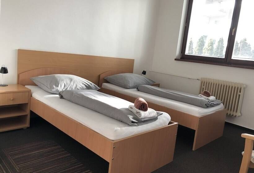 غرفة قياسية, šport Hotel Bôrik