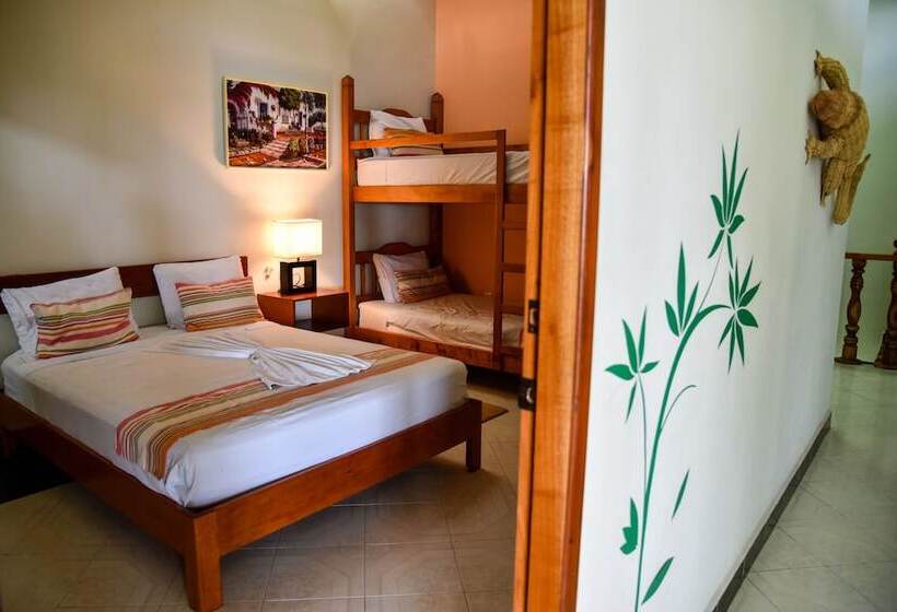Четырехместный Номер Стандарт, Akumal