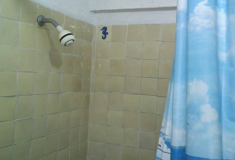 اتاق استاندارد, Safari Inn