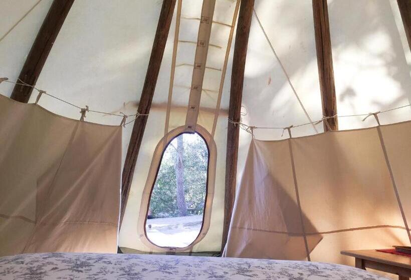 Standard Tent, La Atrevida