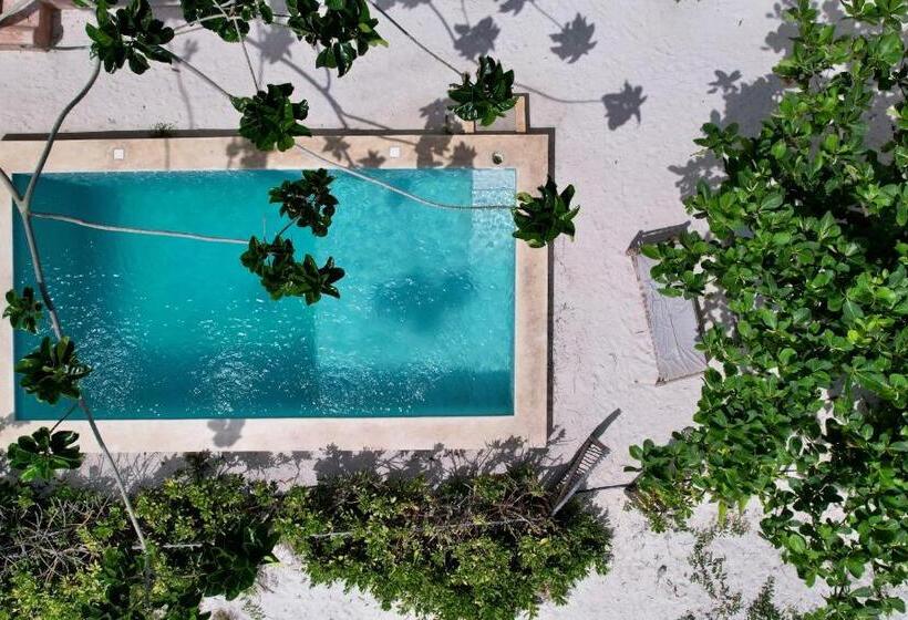 اتاق لوکس با چشم‌انداز دریا, Pili Pili Beach Bungalows