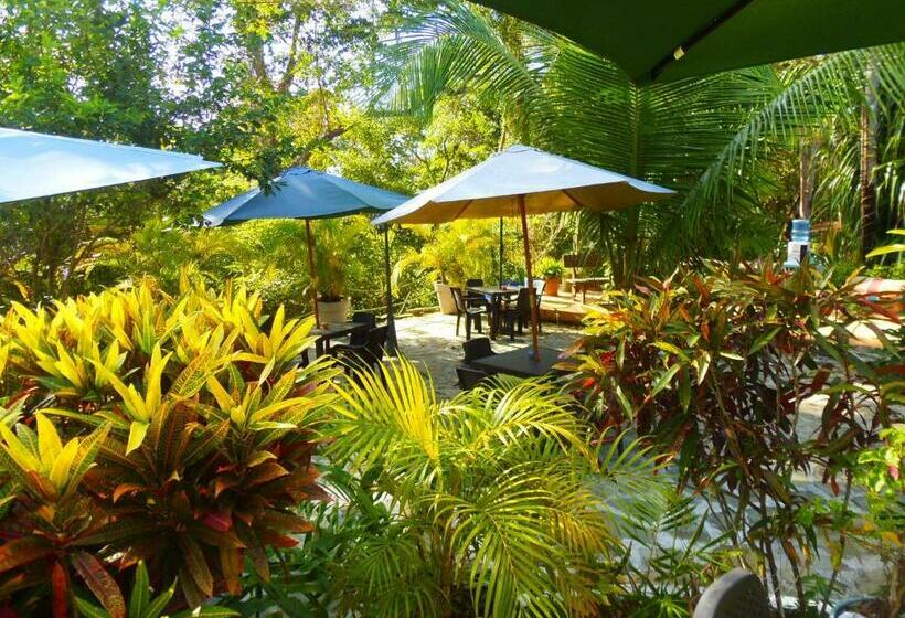 Студия Стандарт, Casa Del Sol Bed And Breakfast