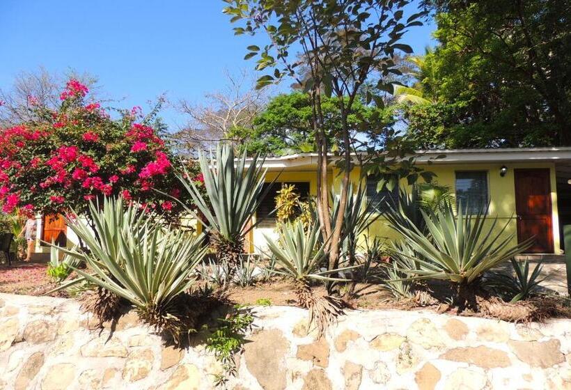Студия Стандарт, Casa Del Sol Bed And Breakfast