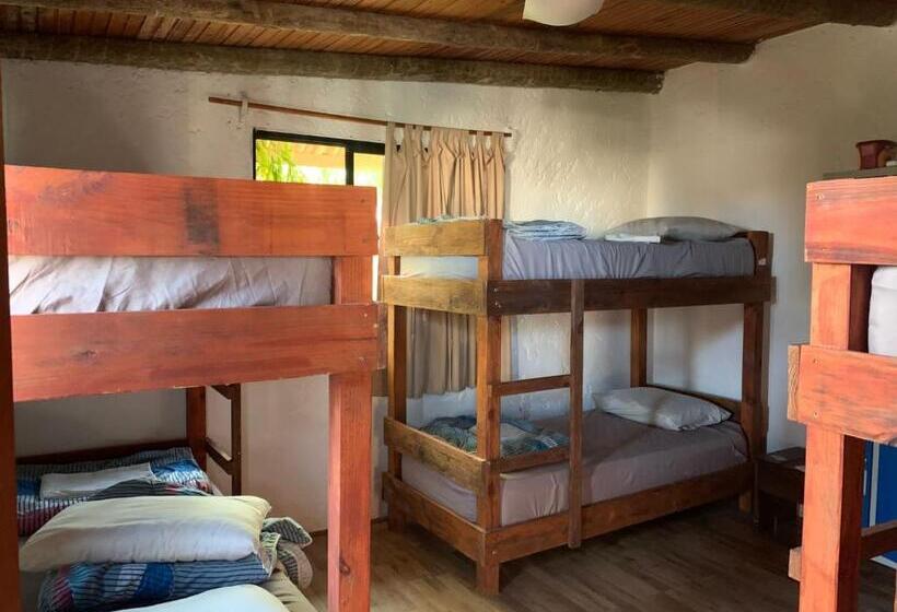 공동 객실, Piedra Alta Hostel & Suites