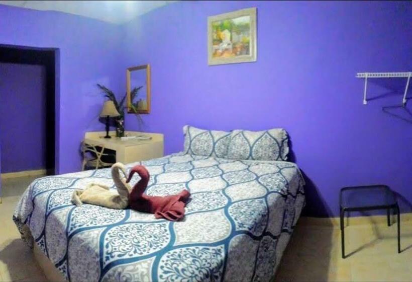 Номер Стандарт, Windmill Hostal