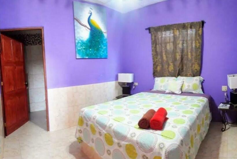 Студия Стандарт, Windmill Hostal