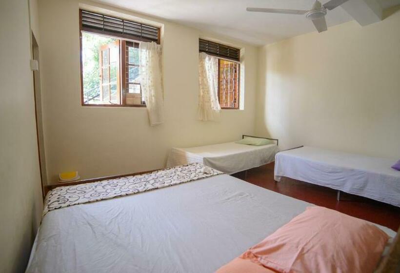 تختخواب در اتاق مشترک, Paradise Galle
