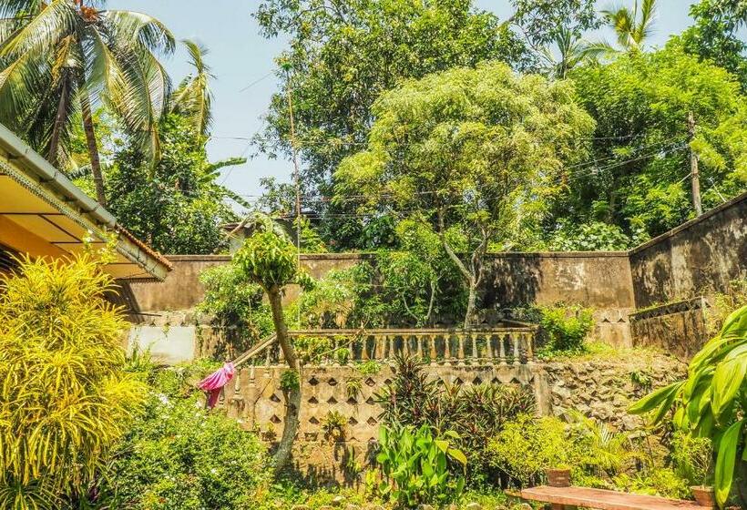 اتاق استاندارد, Paradise Galle