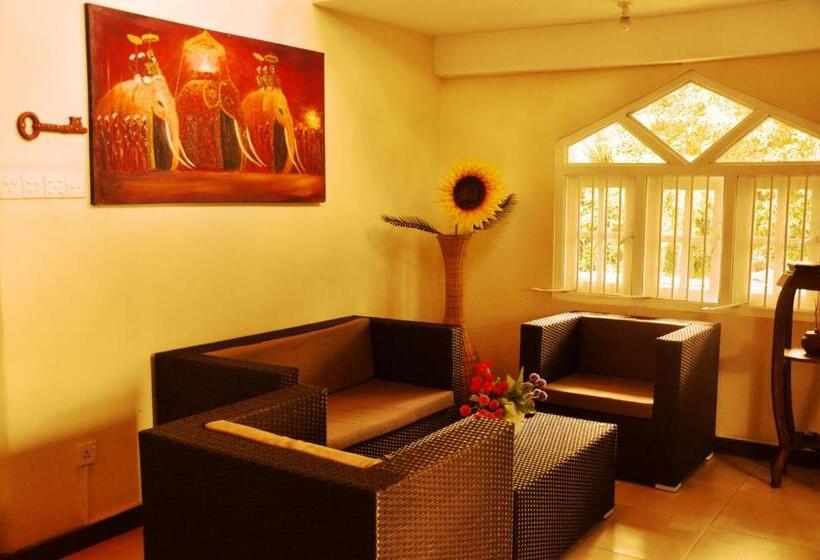اتاق اکونومی, Tinaya