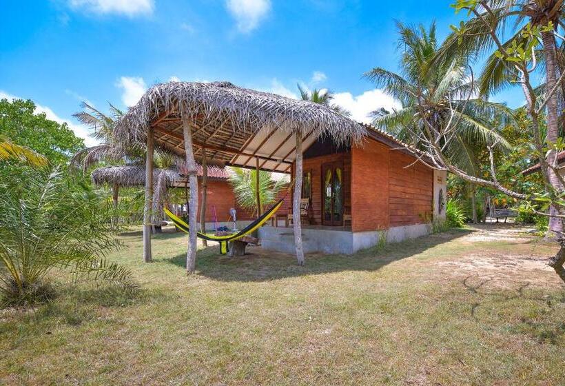 بانگلوی سوپریور, Kitesurfing Lanka