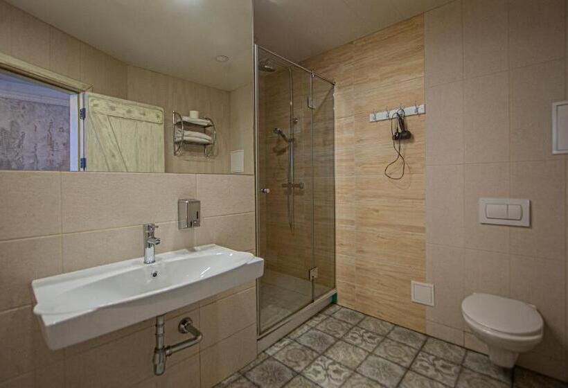 آپارتمان 1 خوابه, Biplan