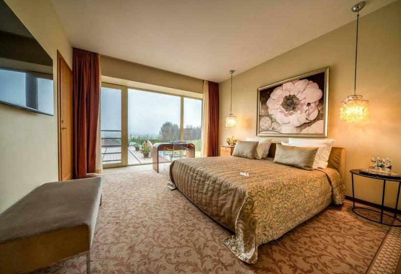 اتاق استاندارد با دسترسی به اسپا, Harmony Park Hotel & Spa