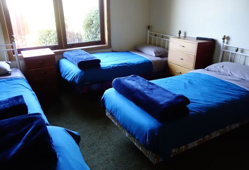 מיטה בחדר משותף, Big Tree Lodge Methven
