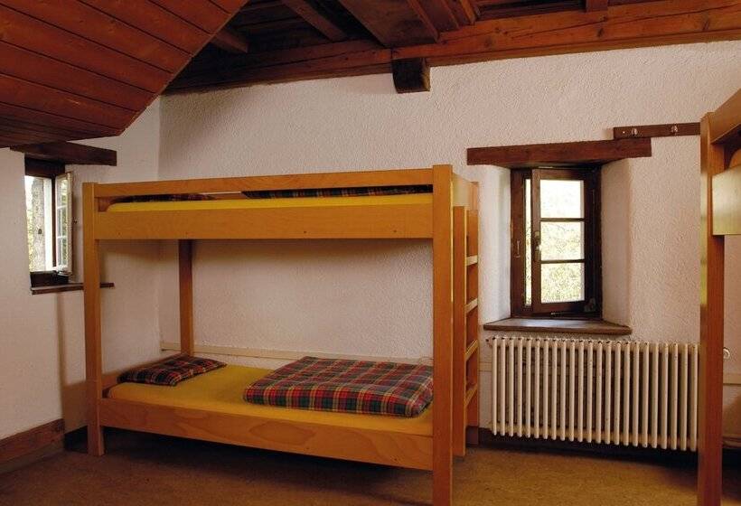 浴室共有スタンダード４人用ルーム, Brugg Youth Hostel