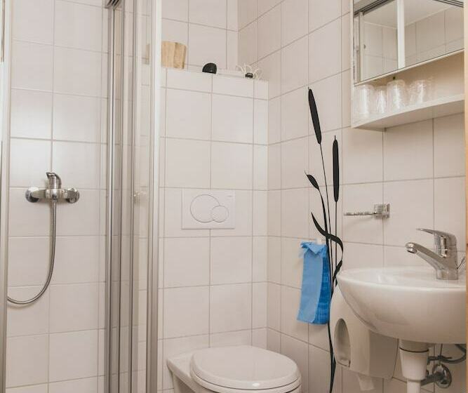 Номер Стандарт, Hôtel Le Besso   Swiss Romantic Lodge Zinal