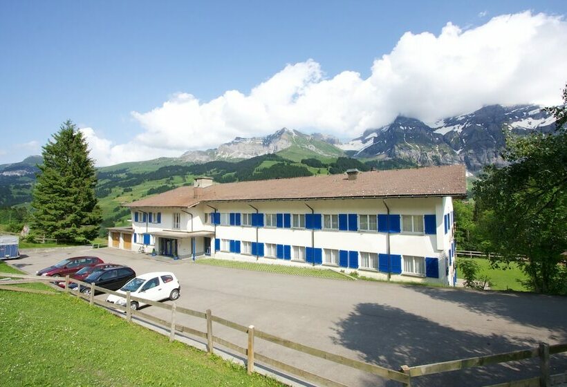 Aile Odası, Crea
