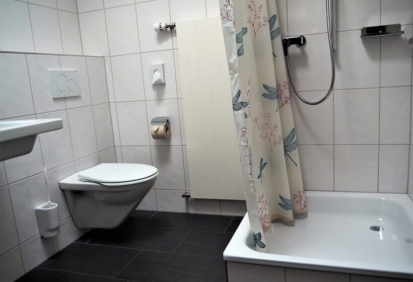 اتاق استاندارد چهار تخته, Jugendherberge Romanshorn