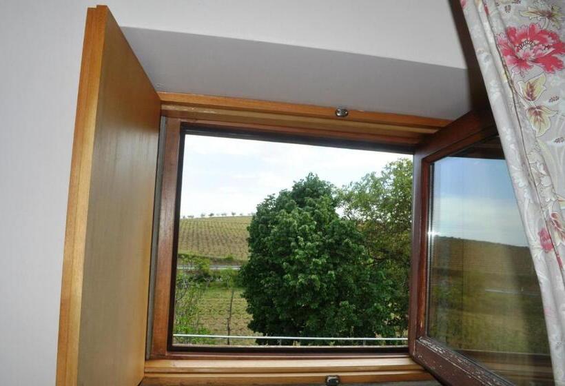 Люкс, Quinta Do Salgueiro B&b   Turismo Rural