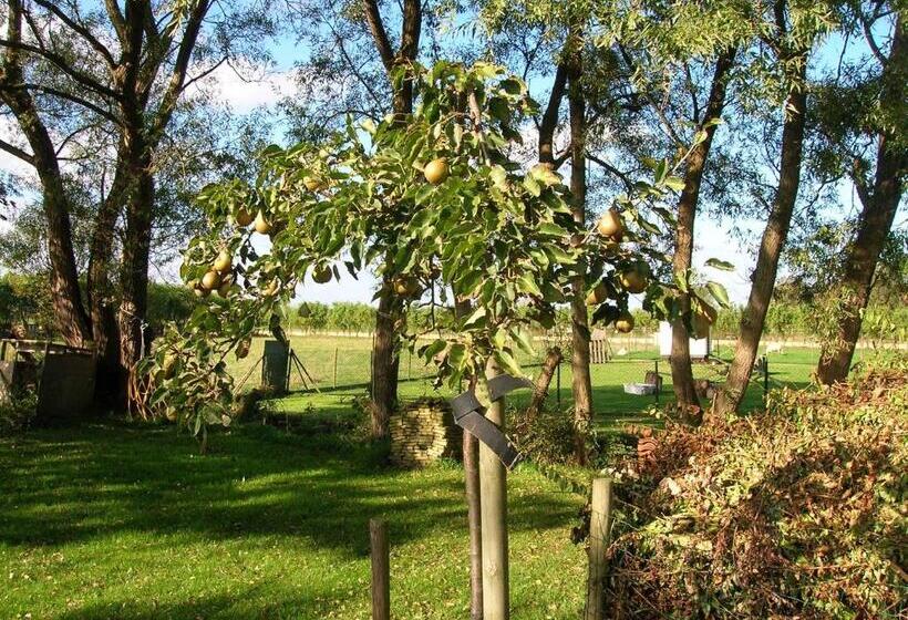 Номер Стандарт, Appels En Peren Bed And Breakfast
