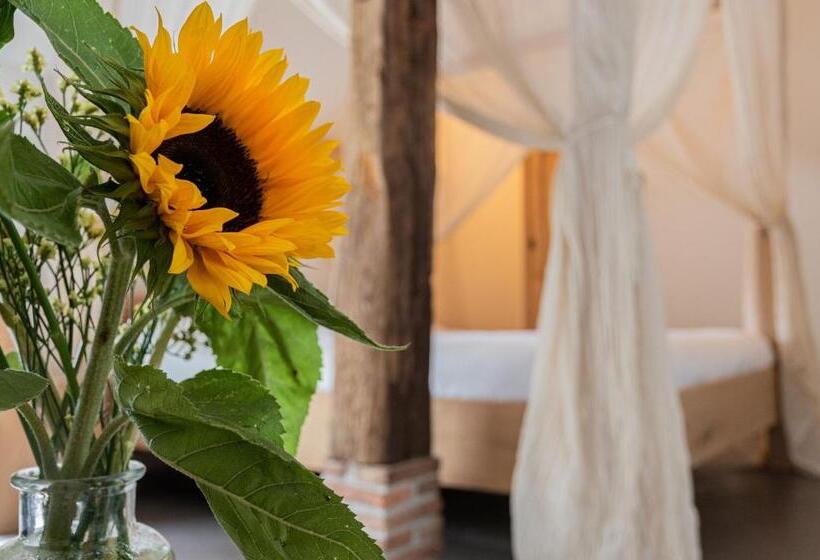 סוויטה, De Vijf Suites