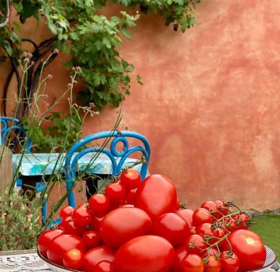 استودیوی استاندارد, In De Aap   Appartementen & Guesthouse