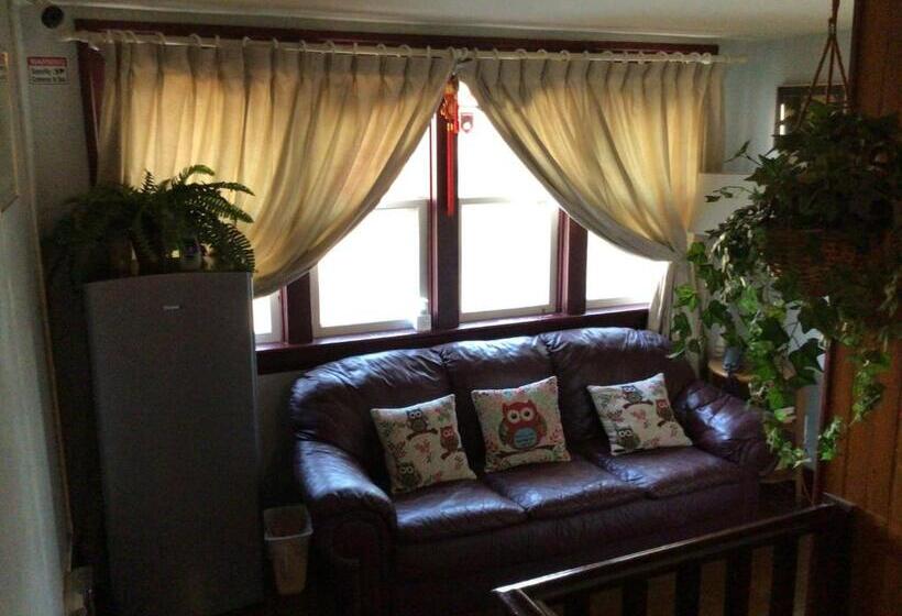 اتاق اکونومی, Nisku Guest House