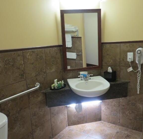 Quarto Estandar Cama King para Deficientes Físicos, Poplar Tree Inn