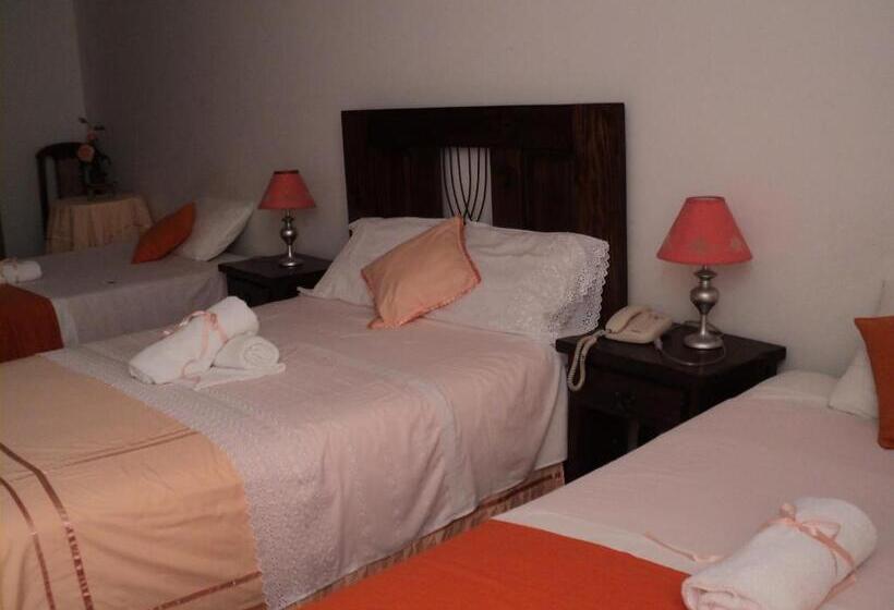 اتاق استاندارد چهارنفره با چشم‌انداز باغ, Conquistadores Inn