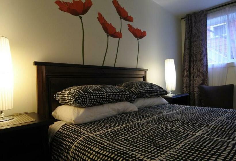 Quarto Estandar, Black Rooster Guesthouse