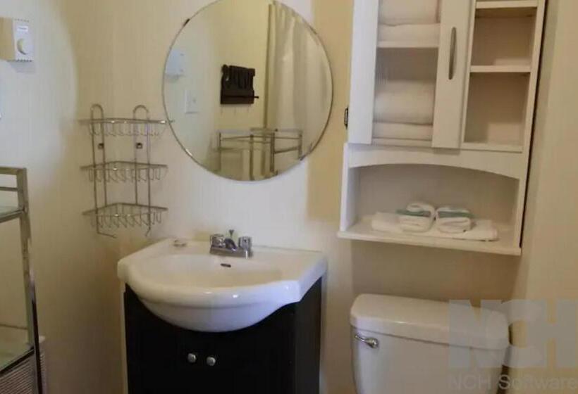استودیوی استاندارد, Black Rooster Guesthouse