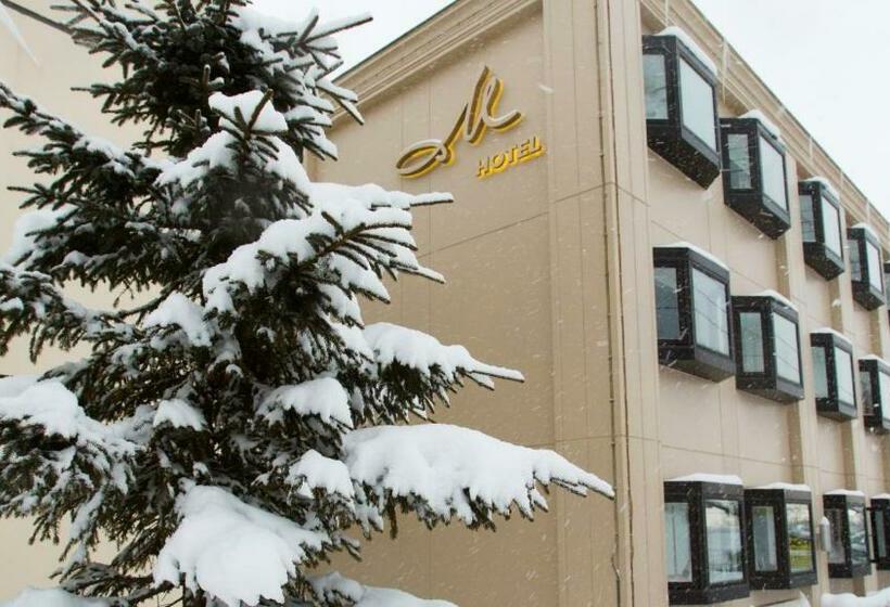 اتاق استاندارد, M Hotel Niseko