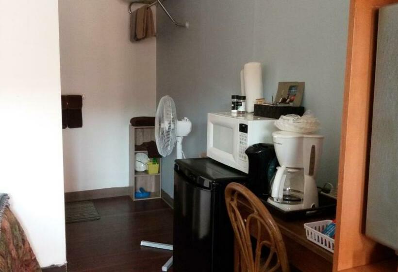 Номер Стандарт, Southview Motel